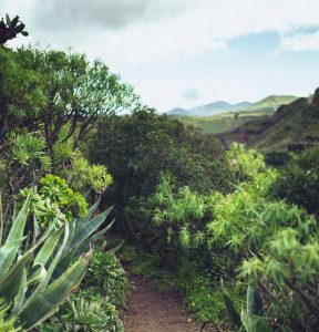 Location de voiture Grande Canarie