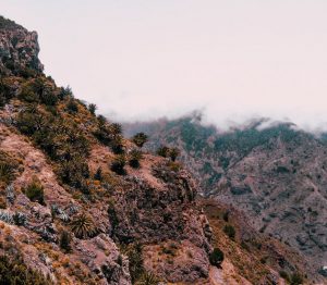 Location de voiture La Gomera