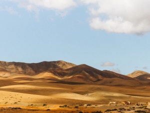 Location de voiture Aéroport de Fuerteventura